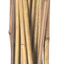 Natural Packaged Bamboo Stakes