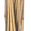Natural Packaged Bamboo Stakes