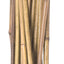 Natural Packaged Bamboo Stakes