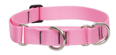 LupinePet Basics 1" Pink 15-22" Martingale Collar for Medium and Larger Dogs