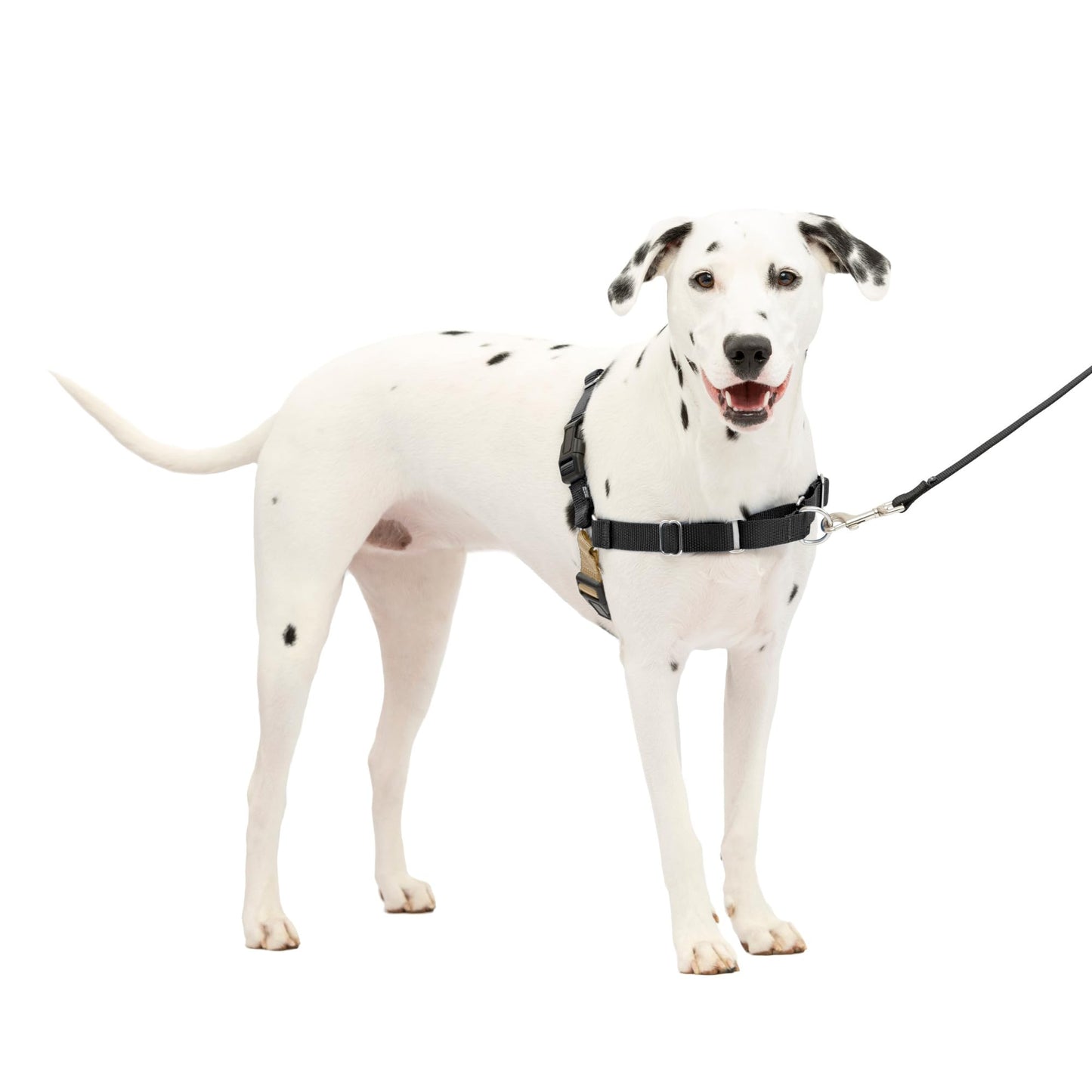 PetSafe Easy Walk No-Pull Dog Harness - The Ultimate Harness to Help Stop Pulling - Take Control & Teach Better Leash Manners - Helps Prevent Pets Pulling on Walks, Medium/Large, Black/Silver