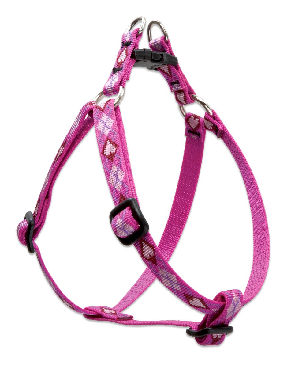 LupinePet Originals 1/2" Puppy Love 12-18" Step In Harness for Small Dogs