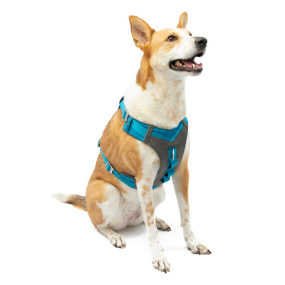 Kurgo Journey Air Dog Harness, Vest Harnesses for Dogs, Pet Hiking Harness for Running & Walking, Reflective, Padded, Includes Control Handle, No Pull Front Clip (Blue, Large)