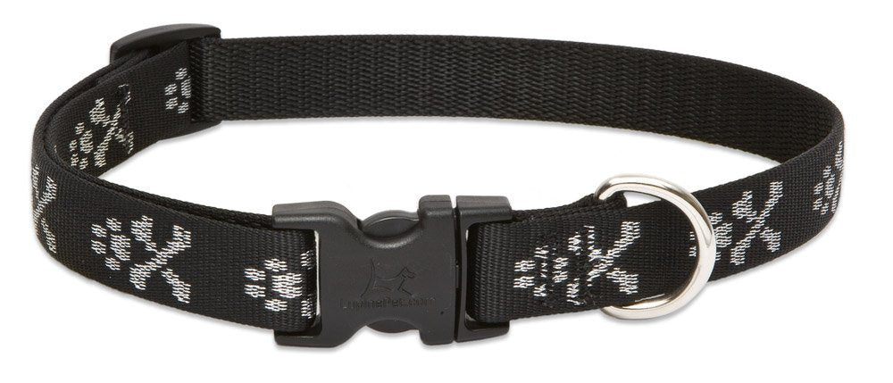 LupinePet Originals 3/4" Bling Bonz 13-22" Adjustable Collar for Medium and Larger Dogs