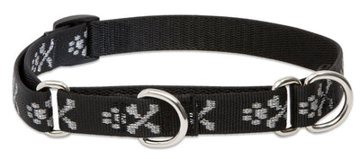 LupinePet Originals 3/4" Bling Bonz 10-14" Martingale Collar for Small Dogs