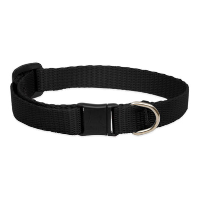 LupinePet Basics 1/2" Black Cat Safety Collar , 8-12"