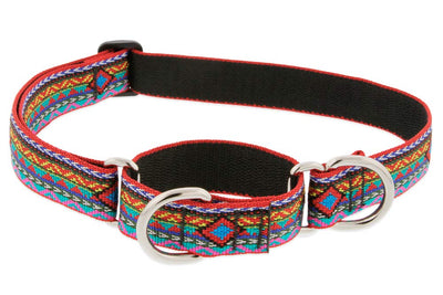 Martingale Dog Collar by Lupine 1" Wide El Paso Design adjusts 15" to 22"