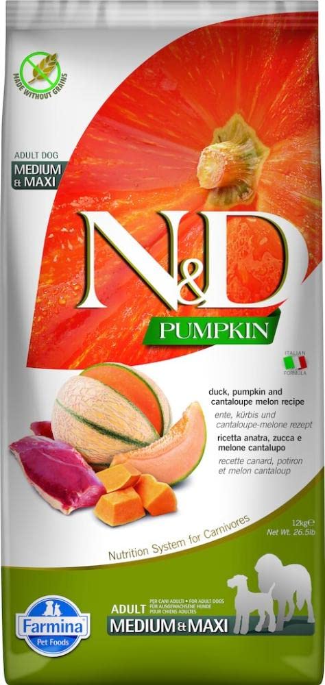 Duck & Cantaloupe Melon Adult Medium & Maxi