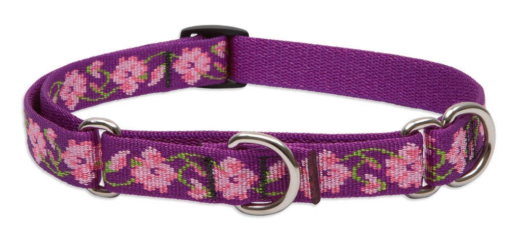 LupinePet Originals 3/4" Rose Garden 14-20" Martingale Collar for Medium and Larger Dogs