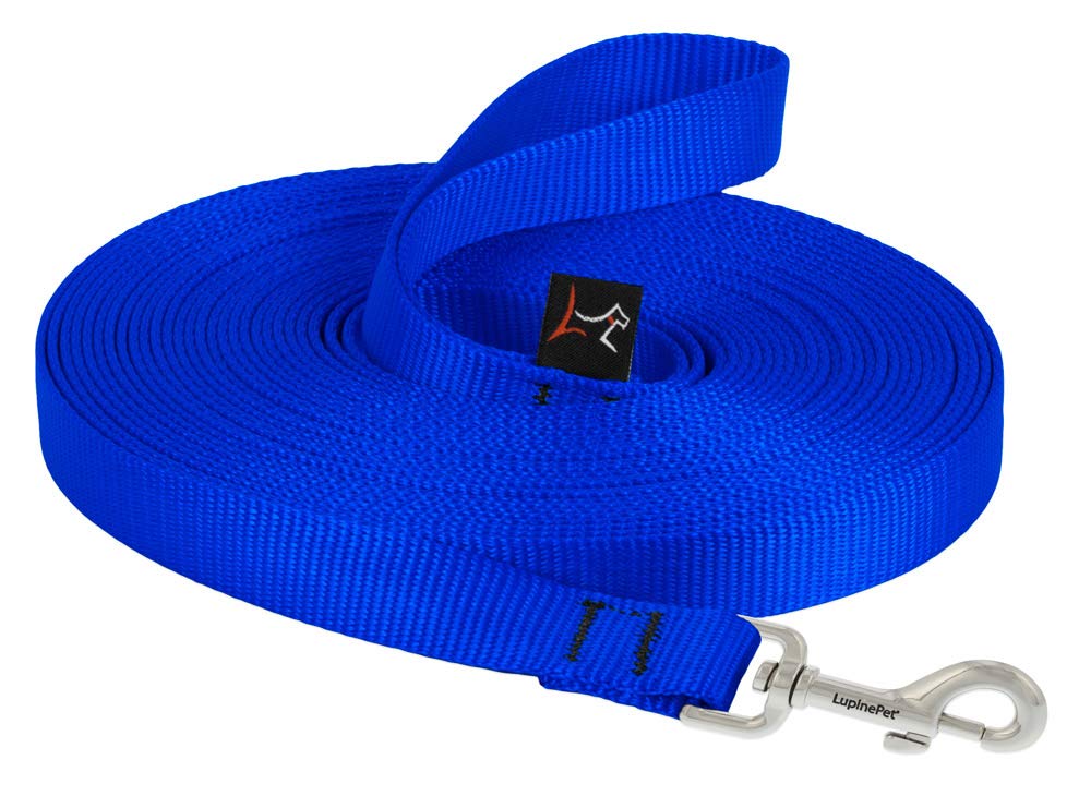 LupinePet Basics 3/4" Blue 30-Foot Extra-Long Training Lead/Leash for Medium and Larger Dogs