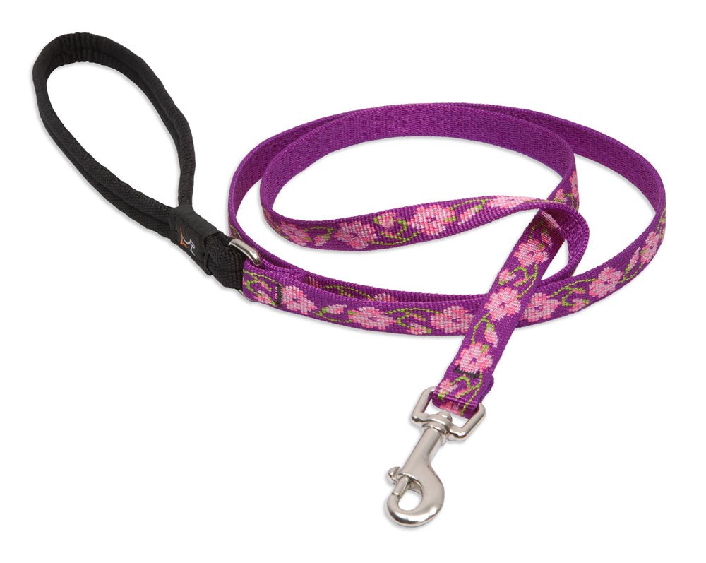 LupinePet Originals 1/2" Rose Garden 6-Foot Padded Handle Leash for Small Pets