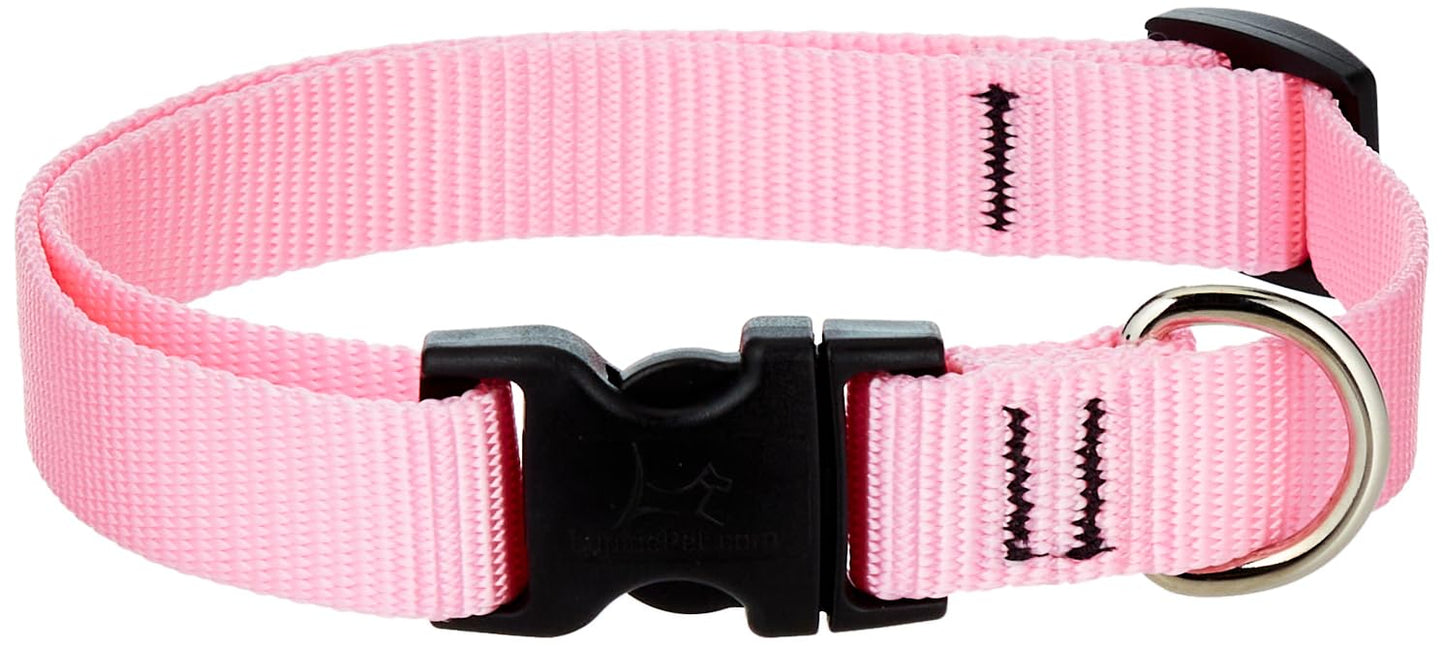 LupinePet Basics 3/4" Pink 13-22" Adjustable Collar for Medium and Larger Dogs