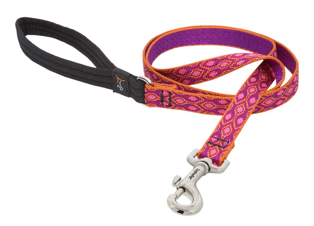 LupinePet Originals 3/4" Alpen Glow 6-Foot Padded Handle Leash for Medium and Larger Dogs