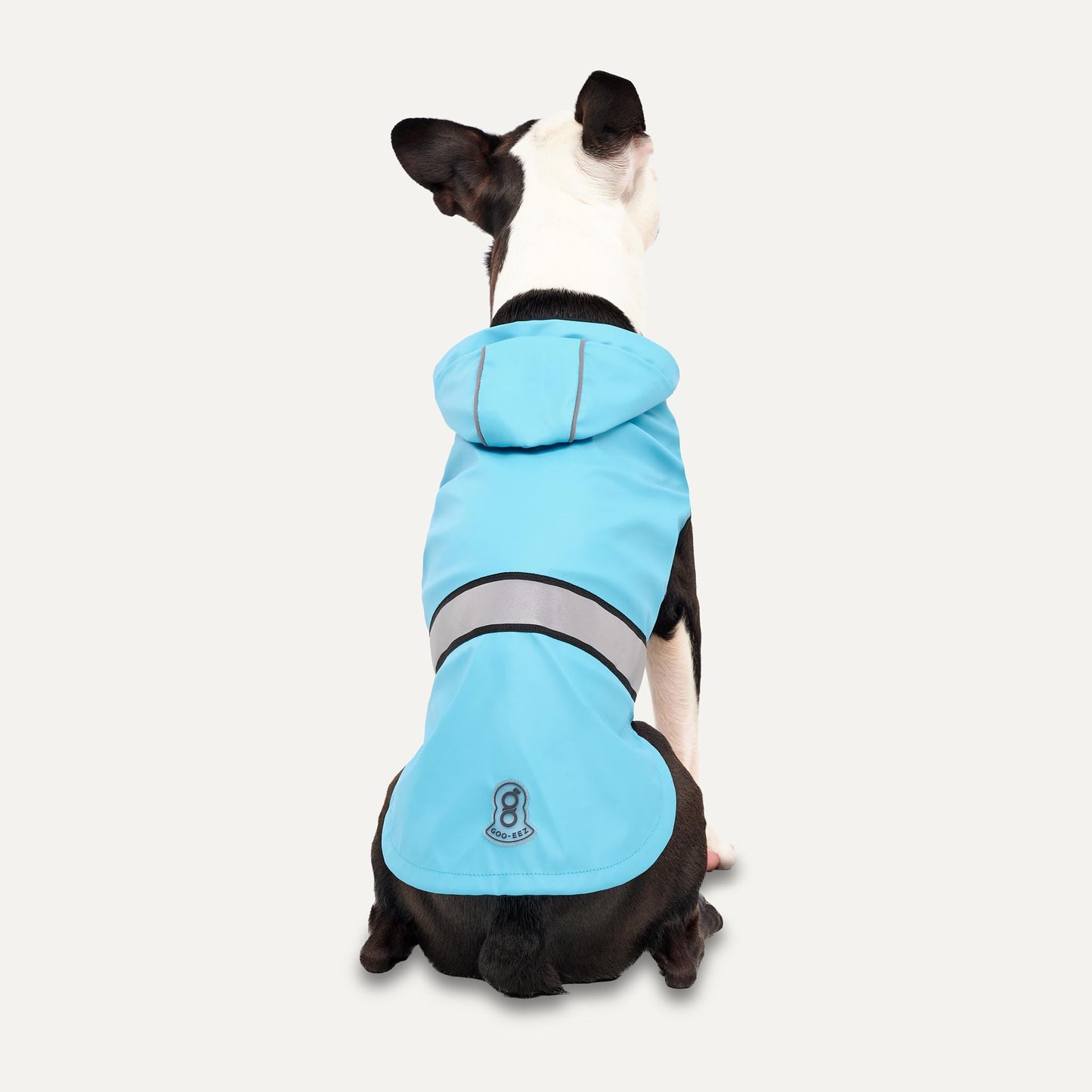 Reflective Hooded Raincoat for Dogs (Baby Blue, XL)