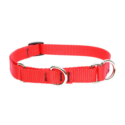 LupinePet Basics 3/4" Red 10-14" Martingale Collar for Small Dogs