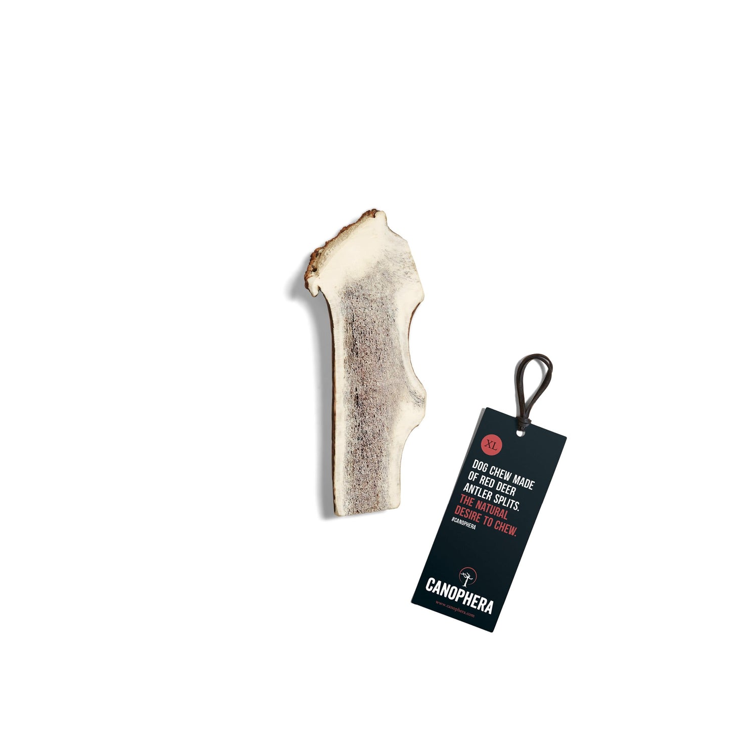 Canophera Dog CHEW Made of RED Deer Antler Splits Xtra Large