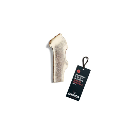 Canophera Dog CHEW Made of RED Deer Antler Splits Xtra Large