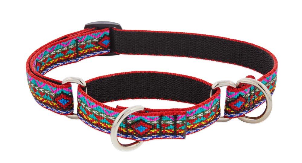 Martingale Dog Collar by Lupine 3/4" Wide El Paso Design adjusts 14" to 20"