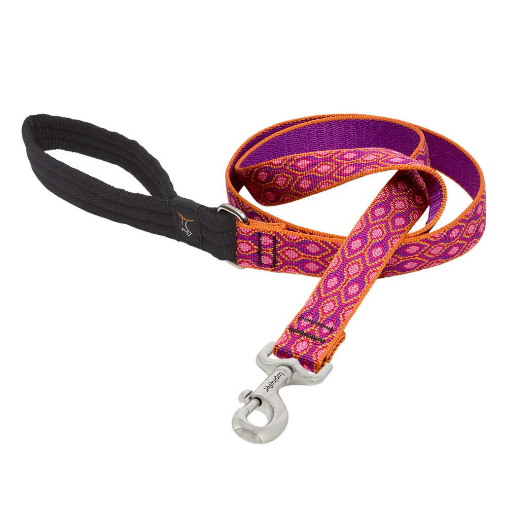 LupinePet Originals 1" Alpen Glow 6-Foot Padded Handle Leash for Medium and Larger Dogs