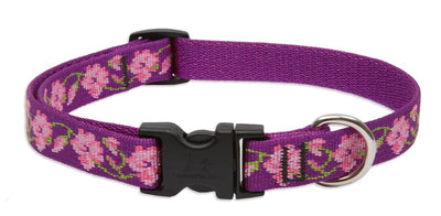 LupinePet Originals 3/4" Rose Garden 13-22" Adjustable Collar for Medium and Larger Dogs