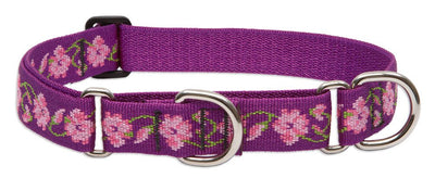 LupinePet Originals 1" Rose Garden 15-22" Martingale Collar for Medium and Larger Dogs