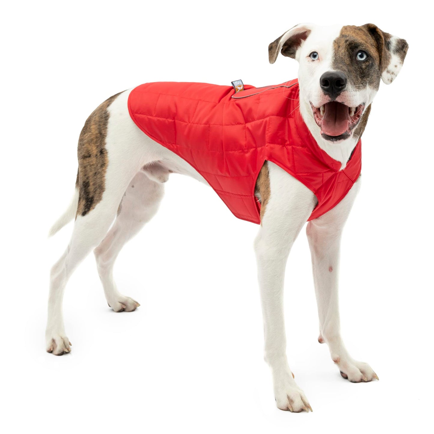 Kurgo Loft Dog Jacket, Reversible Dog Coat, Wear with Harness or Sweater, Water Resistant, Reflective, Winter Coat for Medium Dogs (Chili Red, M)