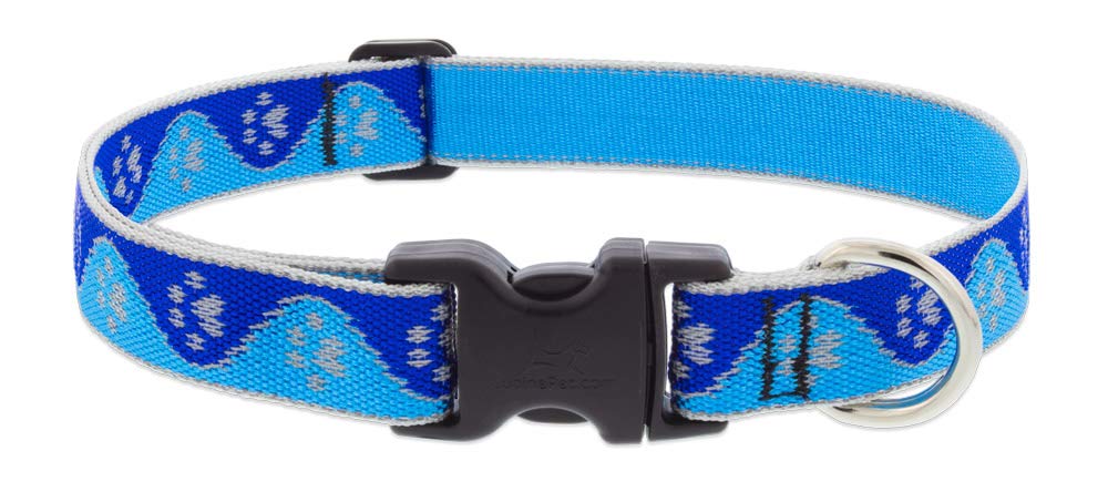 Lupine Reflective Dog Collar 1" Wide Blue Paws Adjusts from 16" to 28"