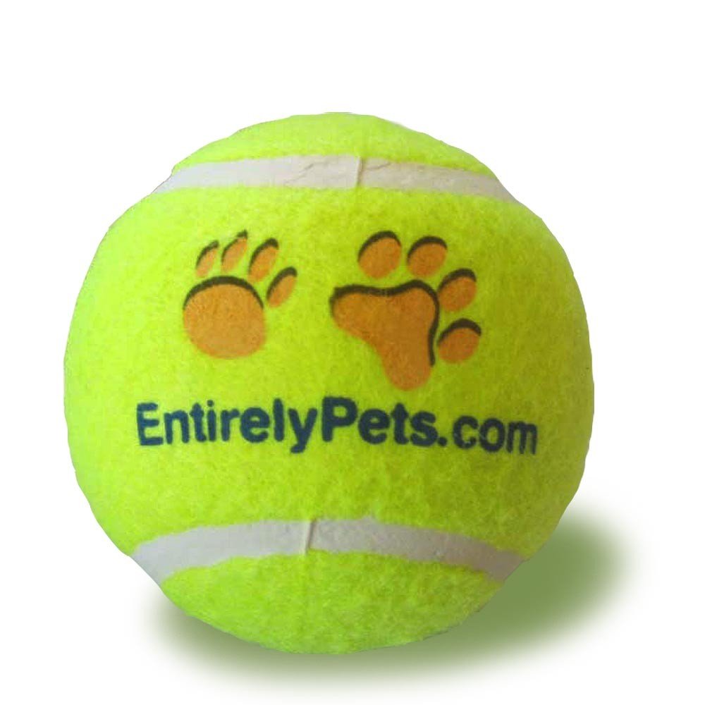 PetSport USA Tuff Balls Tennis Ball Dog Toy