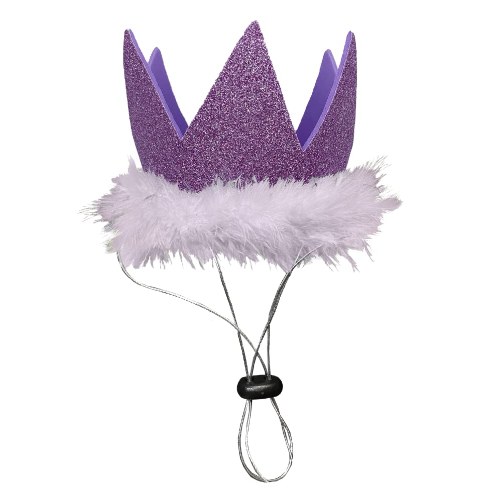 Huxley & Kent Pet Party Crown | Purple (Large) | Crown for Dogs and Cats | Adjustable Strap for Comfort and Stability | Perfect for Birthday Party, Adoption Celebration or Gotcha Day Photos