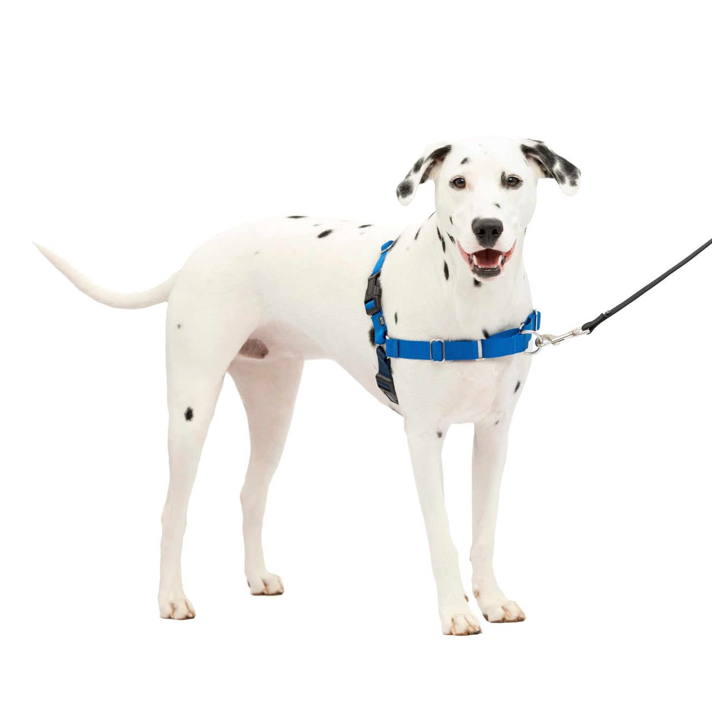 PetSafe Easy Walk No-Pull Dog Harness - The Ultimate Harness to Help Stop Pulling - Take Control & Teach Better Leash Manners - Helps Prevent Pets Pulling on Walks, Medium/Large, Royal Blue/Navy Blue