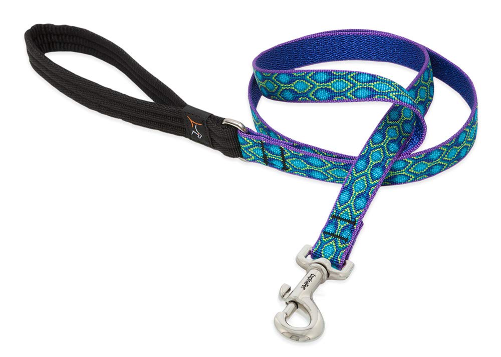 LupinePet Originals 3/4" Rain Song 6-Foot Padded Handle Leash for Medium and Larger Dogs