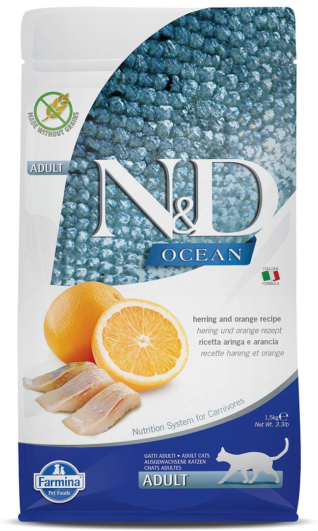 Herring & Orange Adult