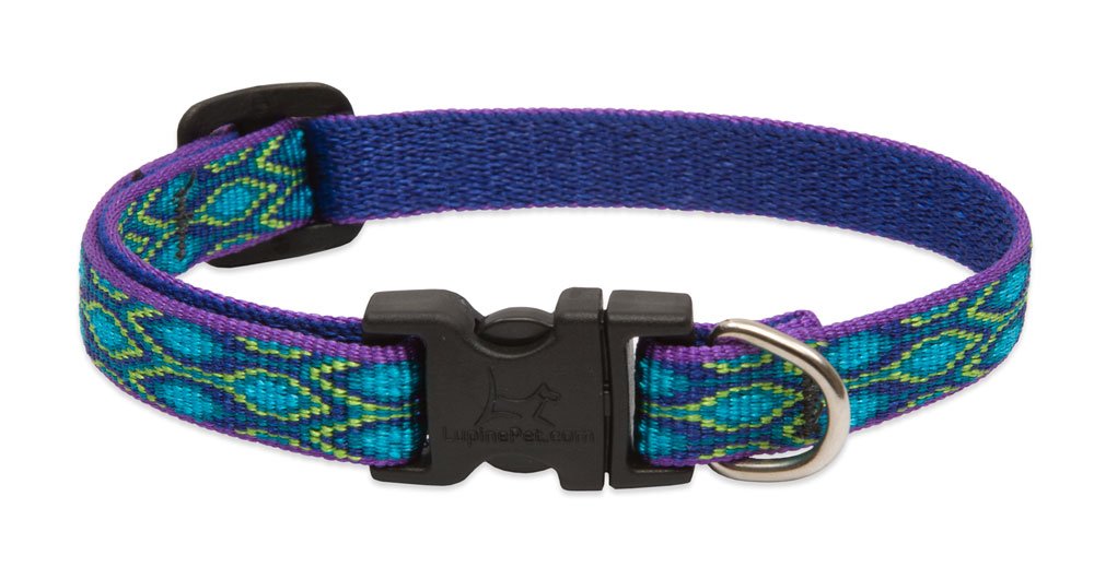 LupinePet Originals 1/2" Rain Song 8-12" Adjustable Collar for Small Dogs