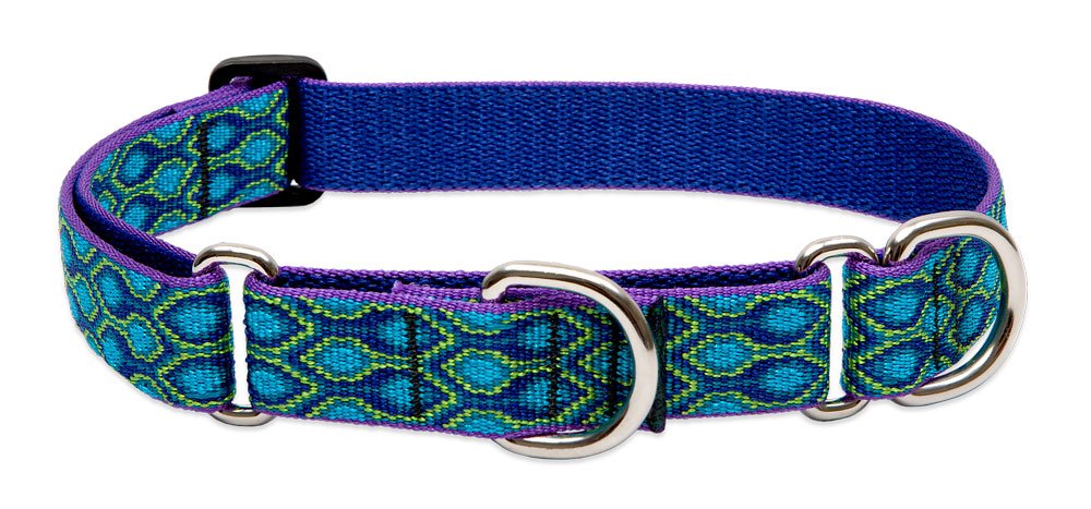 LupinePet Originals 1" Rain Song 15-22" Martingale Collar for Medium and Larger Dogs