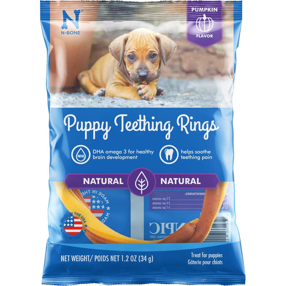 N-Bone Puppy Teething Ring Pumpkin Flavor, Single