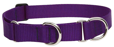 LupinePet Basics 1" Purple 15-22" Martingale Collar for Medium and Larger Dogs