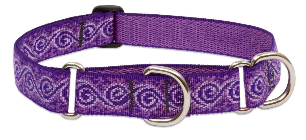 LupinePet Originals 1" Jelly Roll 15-22" Martingale Collar for Medium and Larger Dogs