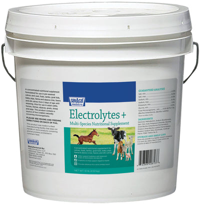 Front view of a white bucket with a blue and green label for SavAcafe Electrolytes + Multi-Species Nutritional Supplement, 10 lb.