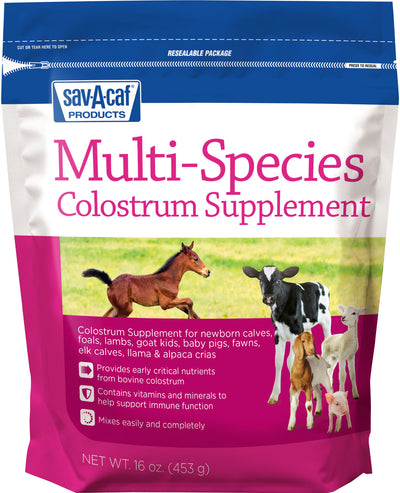 Front view of Sav-A-Caf Products Multi-Species Colostrum Supplement package, 16 oz.