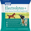 Electrolytes Plus Multi-Species Supplement