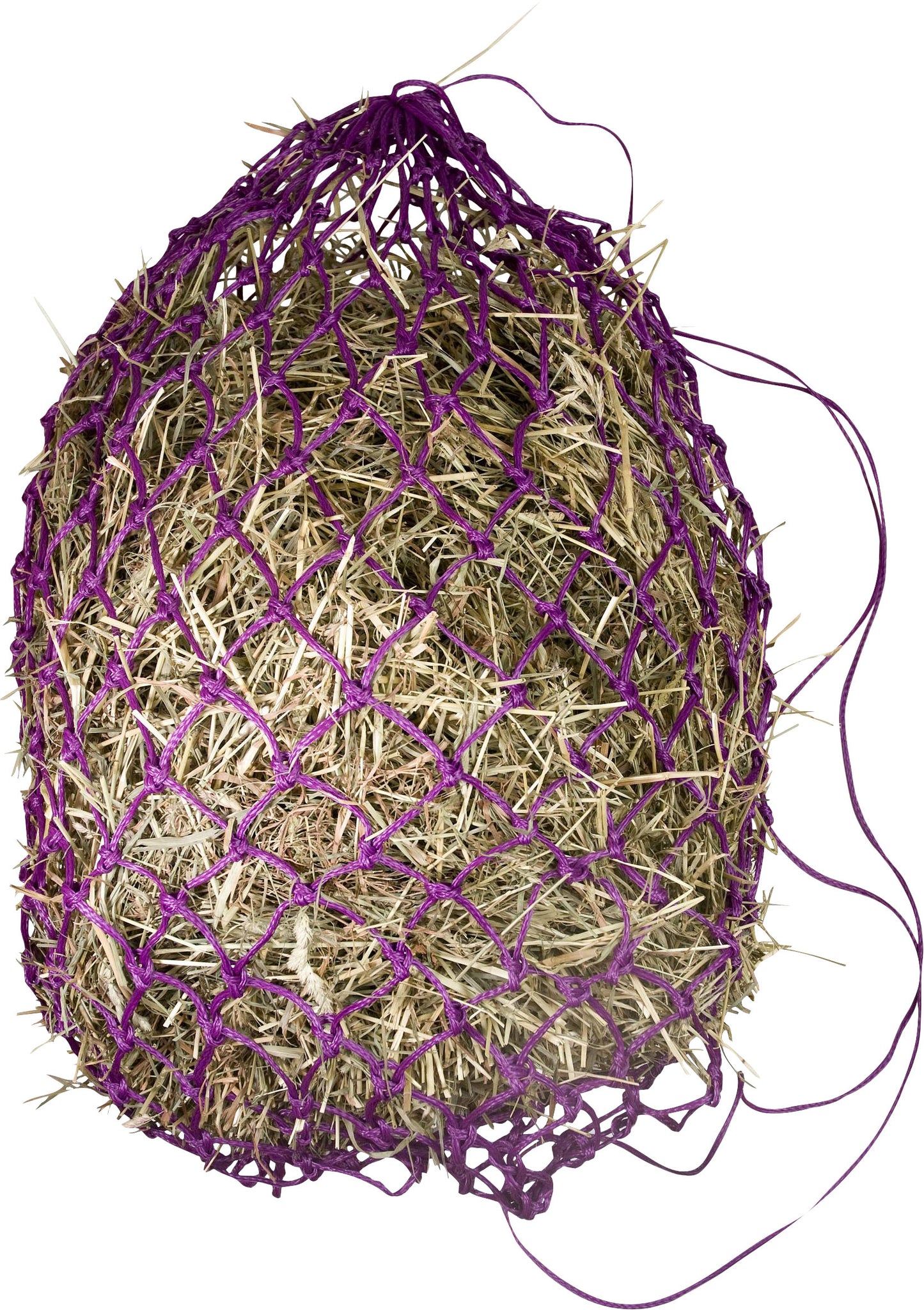 Gatsby Slow Feed Hay Net