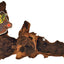 Mopani Wood