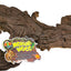 Natural Mopani Wood For Aquariums
