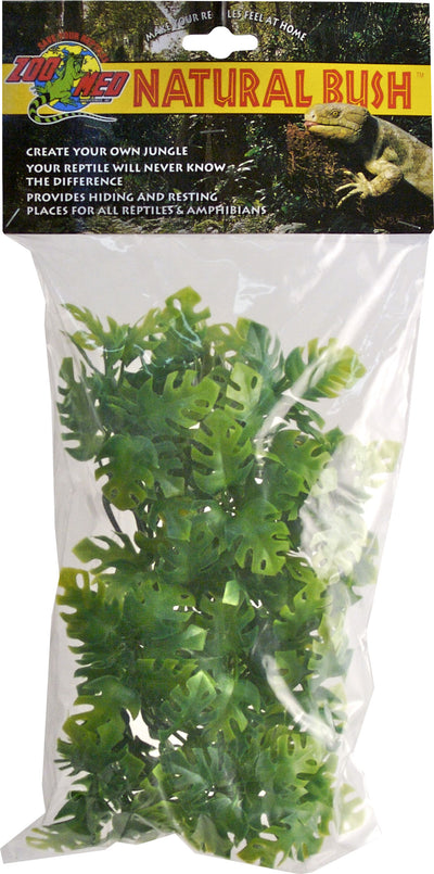 Natural Bush Amazonian Phyllo Plant