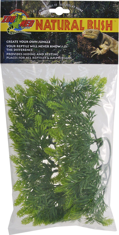 Natural Bush Malaysian Fern Plant