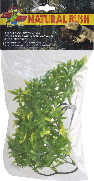 Natural Bush Bolivian Croton Plant