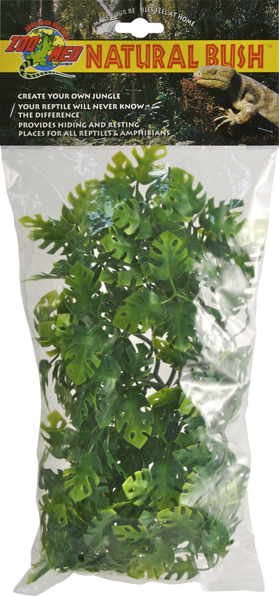 Natural Bush Amazonian Phyllo Plant