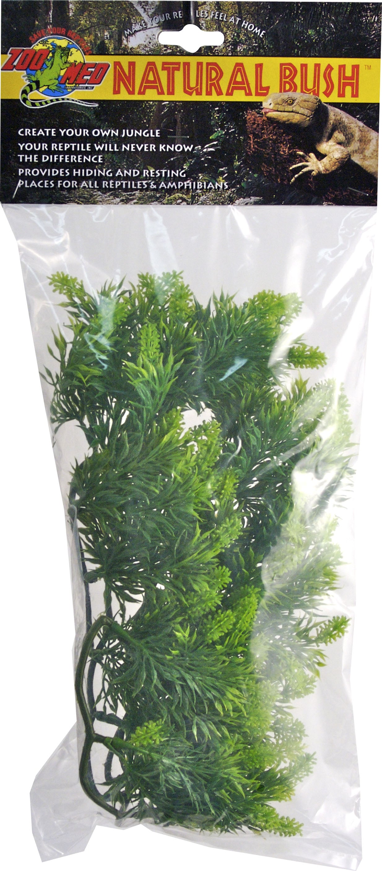 Natural Bush Malaysian Fern Plant