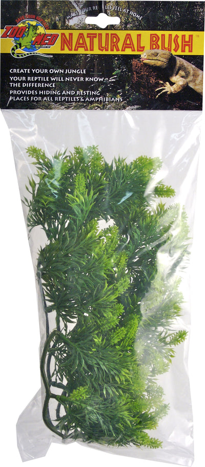 Natural Bush Malaysian Fern Plant