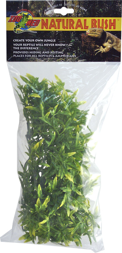 Natural Bush Bolivian Croton Plant